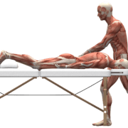 Wat is een bindweefselmassage en wat zijn de voordelen  5 massage lichaam